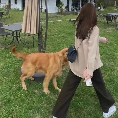 亲爱的造人啦